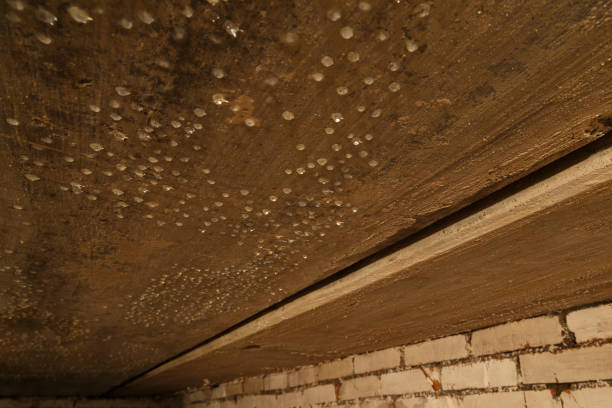 condensed water drops on the basement ceiling - close-up with selective focus