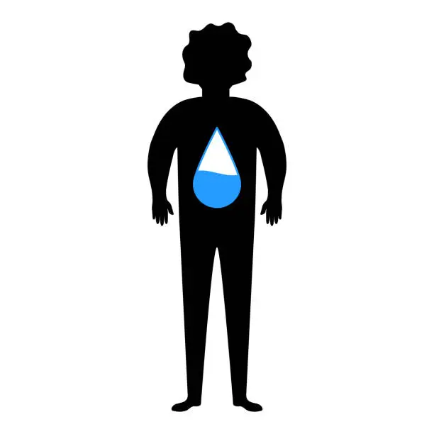Vector illustration of Water percentage in body.Dehydration symptoms. Importance of water drinking.