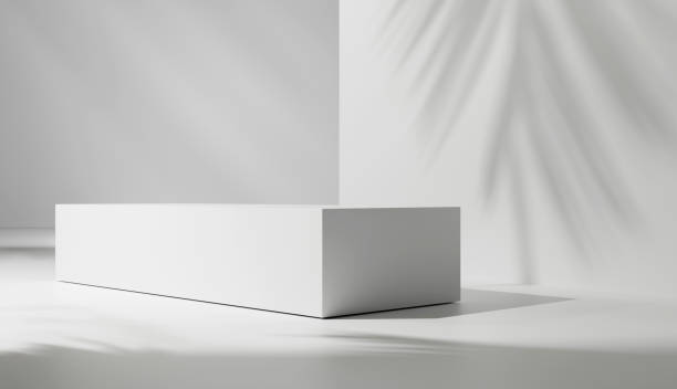 istock White stage with palm leafs shadows and illumination, blank bright abstract background, podium for products, white room background, empty place for presentations and product placement 1698773637