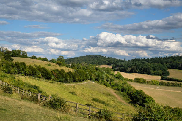 istock Pewley Down in Guildford, Surrey, part of the North Downs Way, UK 1698773692