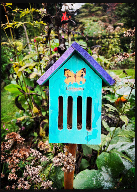 Old Butterfly House in Garden