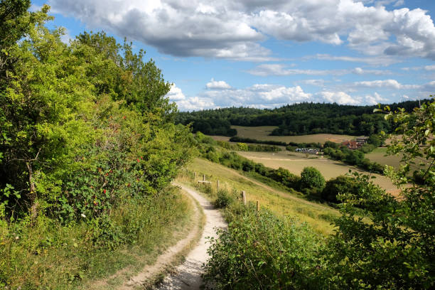 istock Pewley Down in Guildford, Surrey, part of the North Downs Way, UK 1698773746