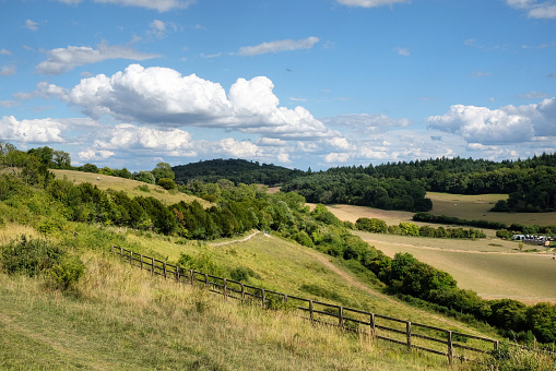 Pewley Down in Guildford, Surrey, part of the North Downs Way, UK