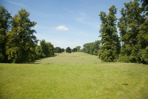 A vast green area with lawn and trees during the daytime