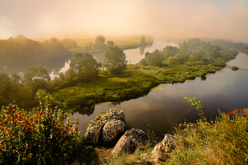 Rural landscape with water and trees, fog and beautiful morning light