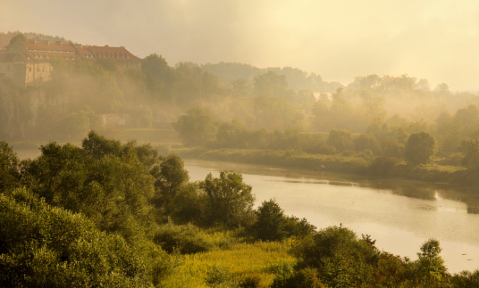 Rural landscape with water and trees, fog and beautiful morning light