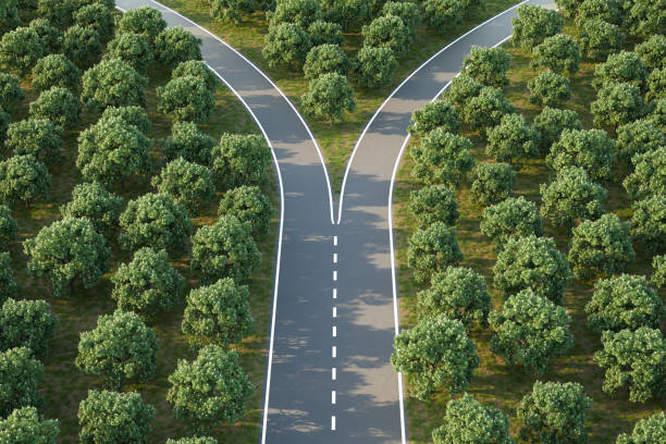 Arial image of a forking road within a forest of horse chestnut trees - concept for 