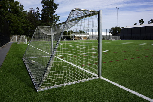 Groomed soccer field or soccer pitch