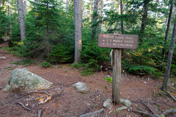 istock Mount Chocorua - Carter Ledge Trail Junction 1698829329
