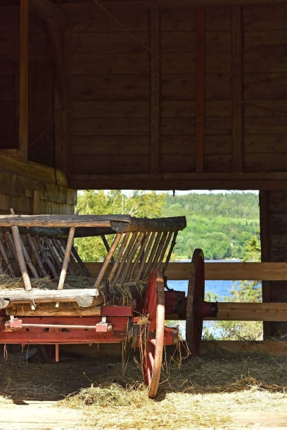istock Hay Covered Antique Wagon Close Up 1698835338