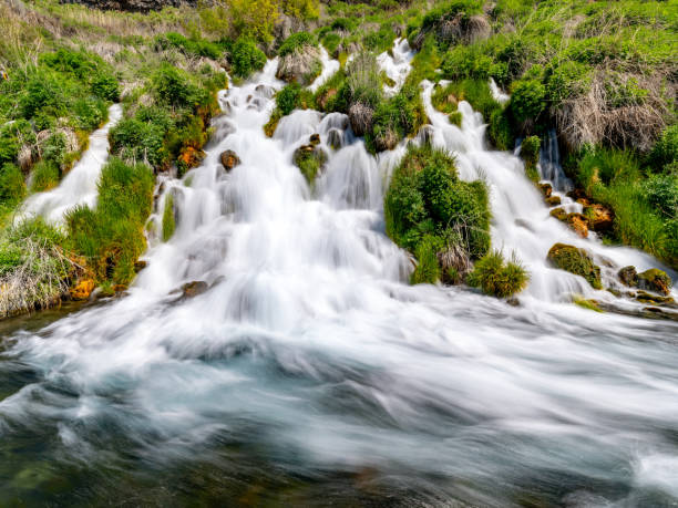 istock Idaho Snake River Springs waterfalls and green grass 1698835926