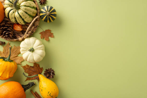 istock Glimpse from top view at Thanksgiving representation: plentiful crop, uncooked pattypans laid in rustic basket, pepper, cinnamon, foliage, pine cone, anise on muted green, space for text placement 1698846307