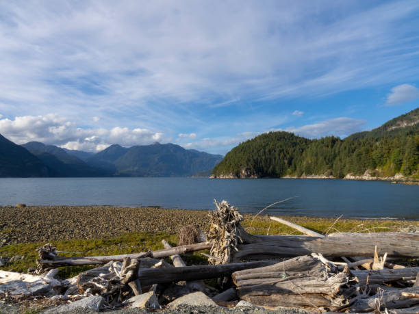 istock Oliver's Landing in Furry Creek 1698846496