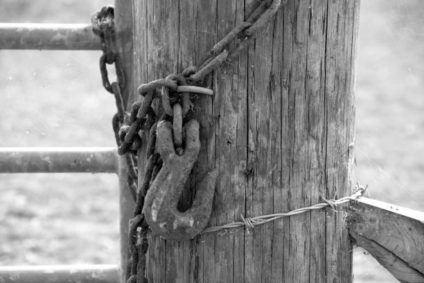 istock Protective fencing to keep animals from wandering 1698869939
