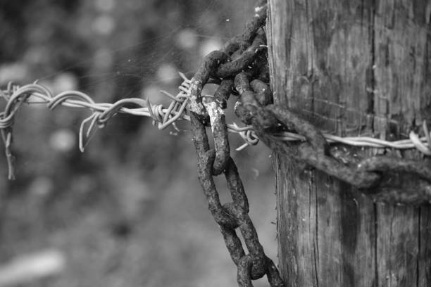 istock Protective fencing to keep animals from wandering 1698870491