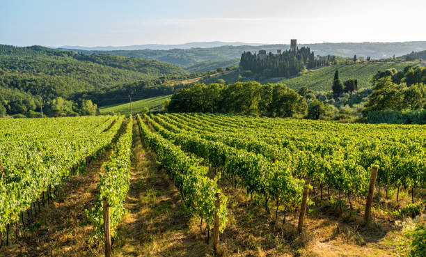 el hermoso monasterio de badia a passignano en la región de chianti. provincia de florencia, toscana, italia. - tuscany florence italy chianti region italy fotografías e imágenes de stock