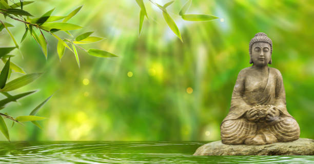 istock buddha statue in sunshine on a rock in a water wave on blurred abstract bamboo background, beautiful nature scene concept for travel, wellness spa or relaxation with asian spirit 1698879374