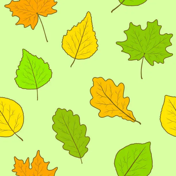 Vector illustration of Bright green summer and bright yellow, orange autumn leaves of oak, maple, birch, poplar and aspen with a contour on a light green background. Seamless pattern. Children's print. Vector illustration.