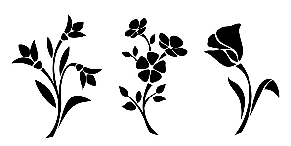 Flowers. Black silhouettes of flowers isolated on a white background. Vector illustration