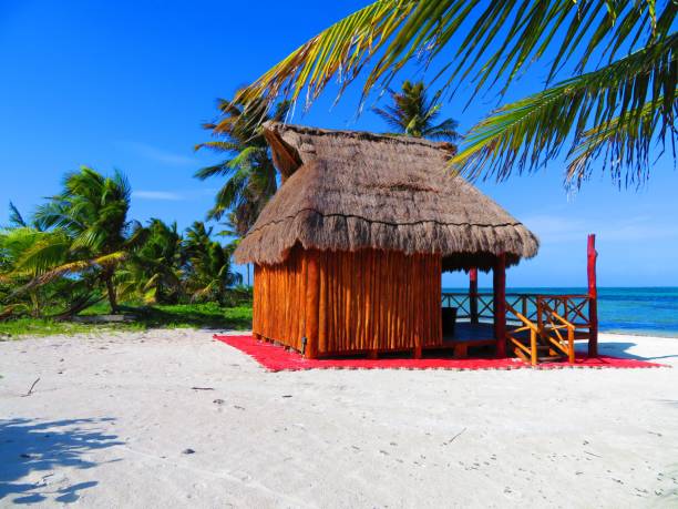 istock Beach Hut in Costa Maya, Mexico 1698896333
