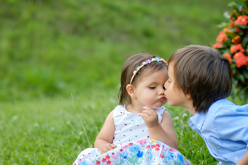 Two little siblings kissing each other while they are sitting on a beautiful green meadow playing with flowers.