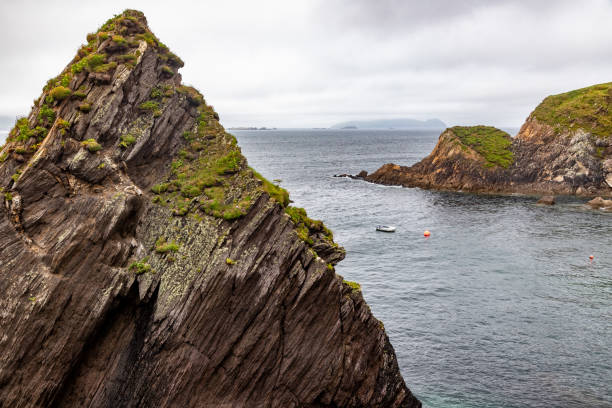 Cliffs in Dunquin Pier with rocks and vegetation, Dingle, Kerry, Ireland