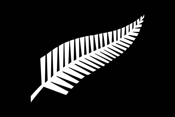 illustrations, cliparts, dessins animés et icônes de drapeau de fougère argentée - silver fern