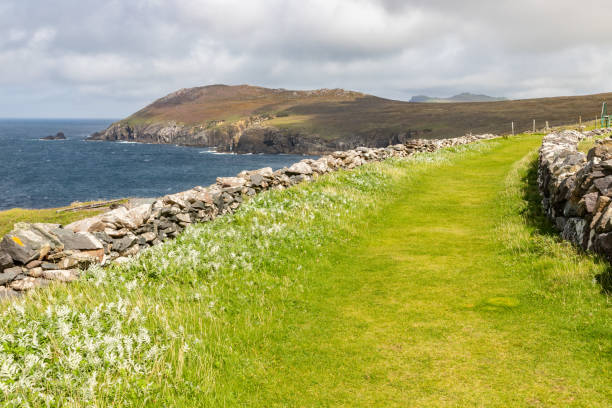 istock Coastal trail to Clogher Head 1698922481