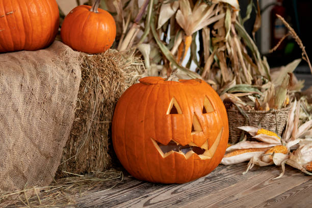 istock orange pumpkin on hay, halloween concept 1698923625
