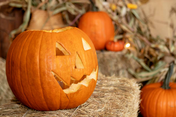 istock orange pumpkin on hay, halloween concept 1698924751