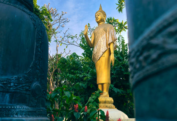 Free Stock Photo of Buddha Statue Standing in Front of Trees | Download ...