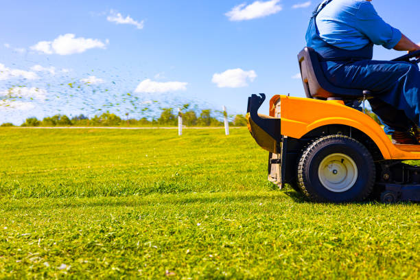 istock gardener mows the lawn on a lawn mower. 1698966554