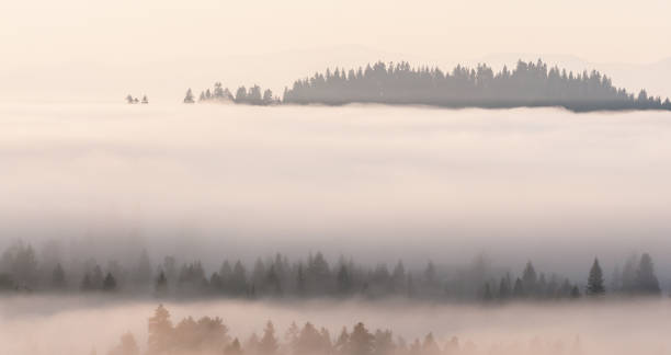 istock Landscape with a morning fog 1698974882