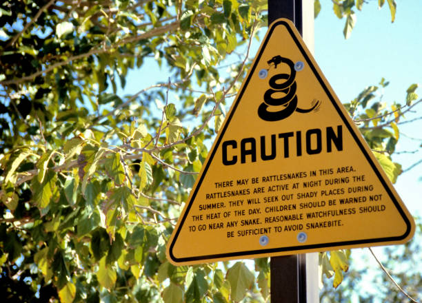 istock Rattlesnake sign in Smith Rock State Park 1698998775