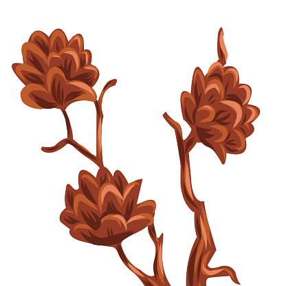 vector brown flowers. branch of leaves and flowers in brown color. autumn nature. Vector illustration