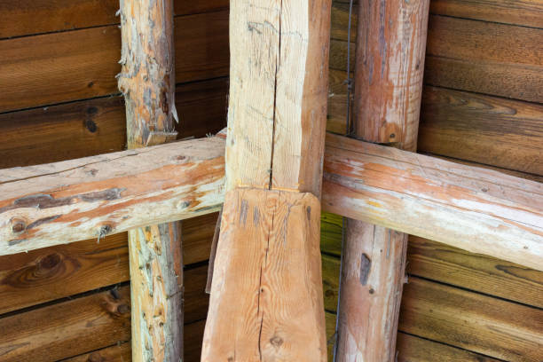 istock A structure made of logs. Log building from the inside. Log construction. Carpentry construction from logs. 1699042026
