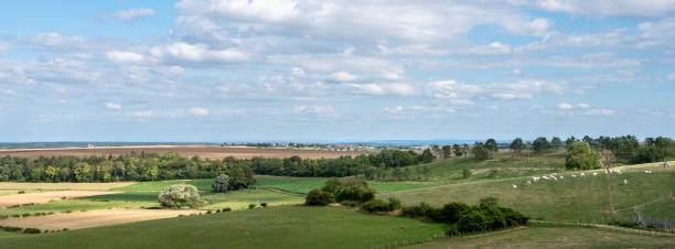 istock rural landscape near dijon in saone valley with white cows under blue sky 1699055757