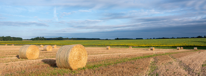 straw hat, straw bales, summer sun, hillside, Hungary