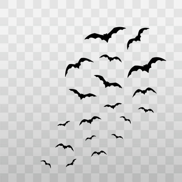 illustrations, cliparts, dessins animés et icônes de chauves-souris volantes halloween . vecteur - chauve-souris