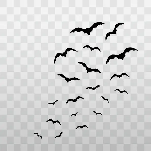 Vector illustration of Flying bats Halloween . Vector