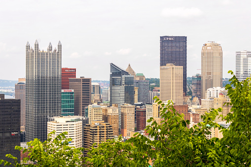A view of Pittsburgh's downtown from behind the green trees