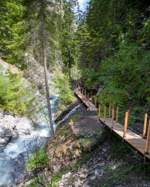 istock Clemgia Gorge, near Scuol, Swiss 1699095707