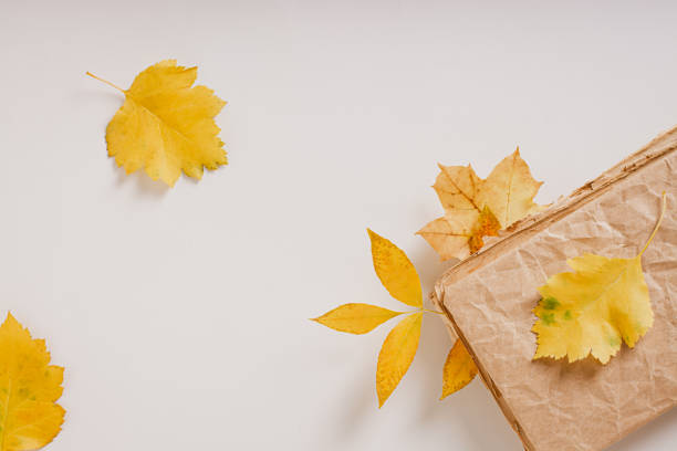 istock Cozy autumn reading old book and yellow leaves top view 1699108381