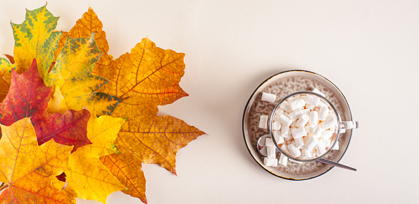 Warm drink with marshmallows and colorful maple leaves on beige top view web banner