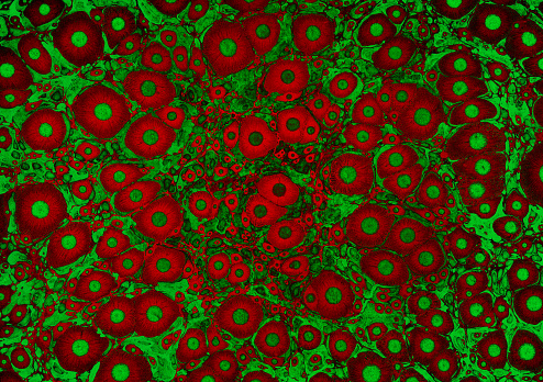 Abstract red and green spotted virus pattern background