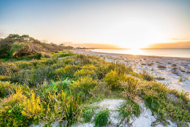 Busselton coastline at sunset, Western Australia