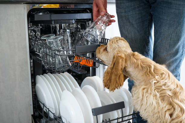 Clean dishes in the dishwasher in the kitchen, after washing. Clean dishes in the dishwasher in the kitchen. dog dishwasher stock pictures, royalty-free photos & images