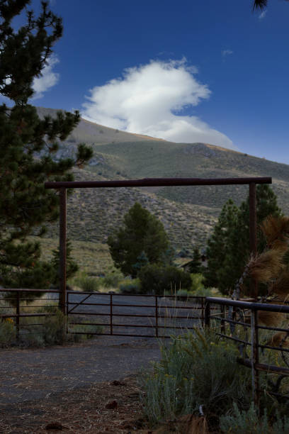 Rustic ranch gate at the end of the dirt driveway