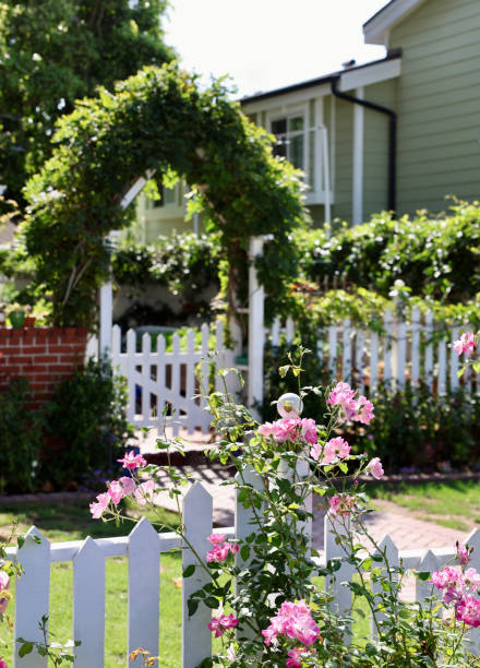 istock Old fashioned garden gate with arched trellis and pink roses 1699152283