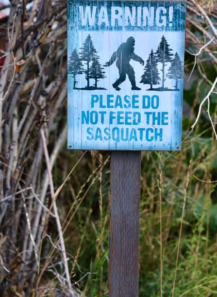 istock Humorous sign in the park 1699181389